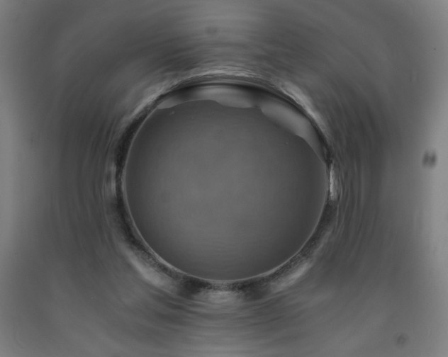X0000093240205200709261715