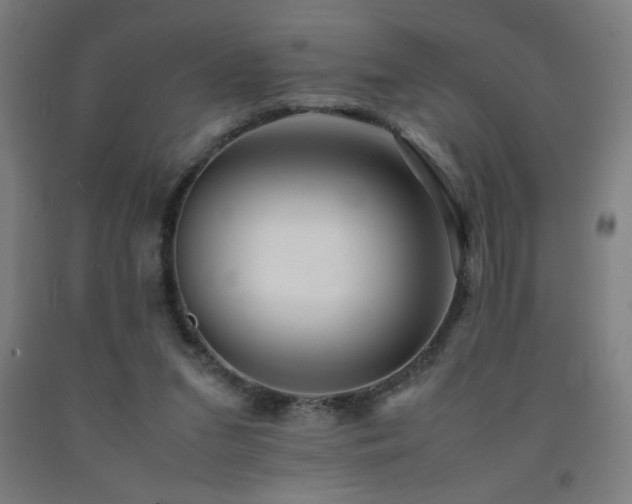 X0000093240207200709261715
