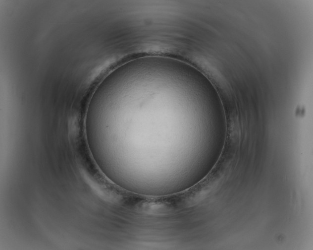 X0000093240208200709261715