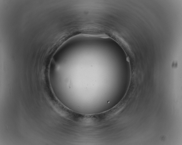 X0000093240209200709261715
