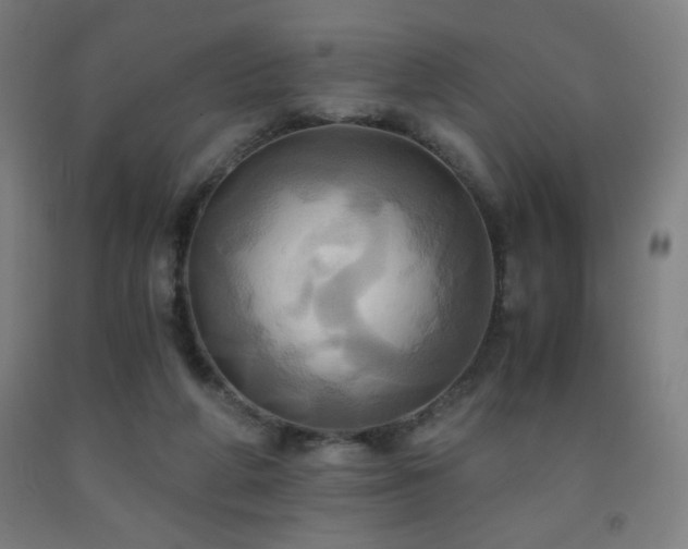 X0000093240210200709261715