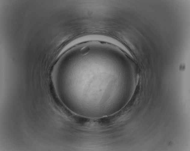 X0000093240211200709261715