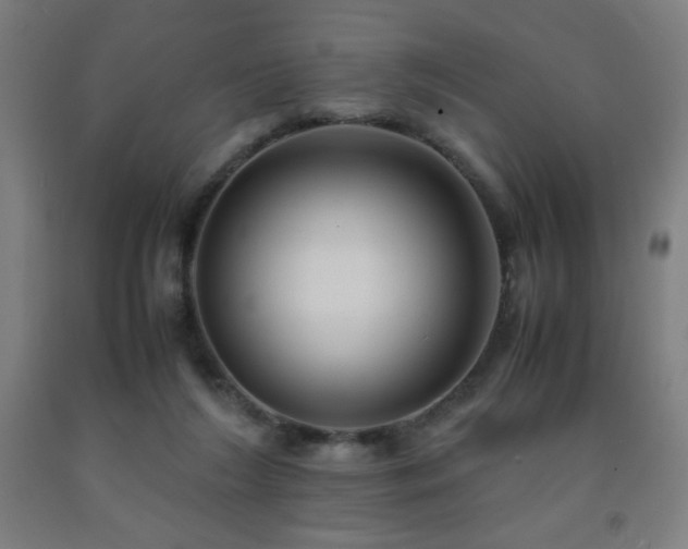 X0000093240212200709261715
