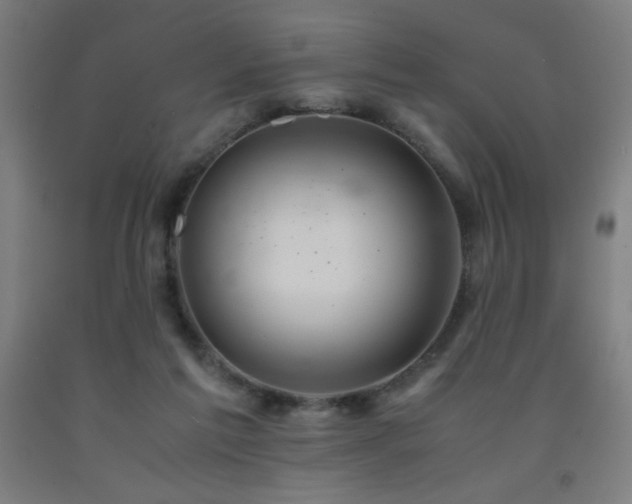 X0000093240213200709261715