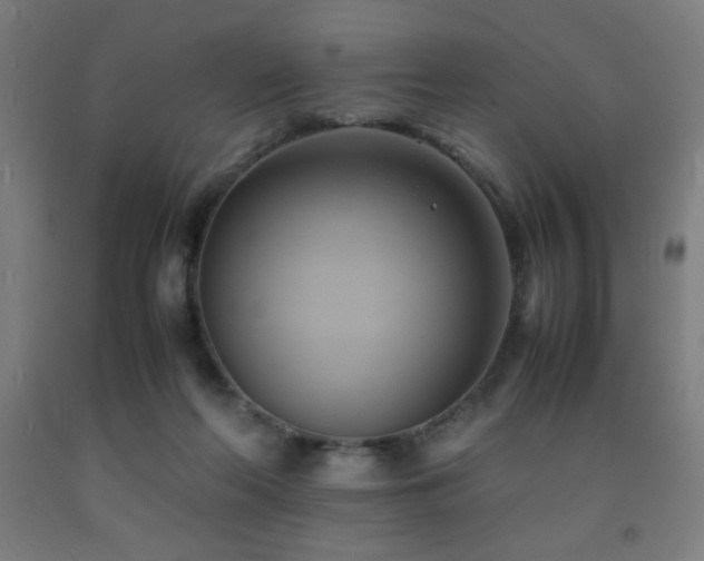 X0000093240214200709261715