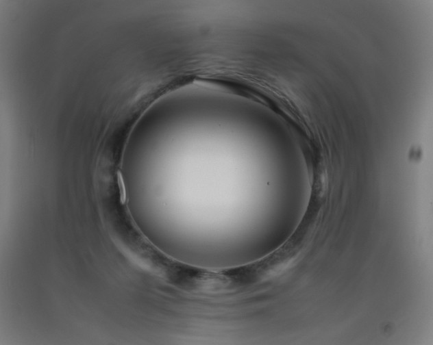 X0000093240215200709261715