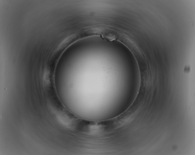 X0000093240216200709261715