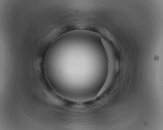 X0000093240217200709261715