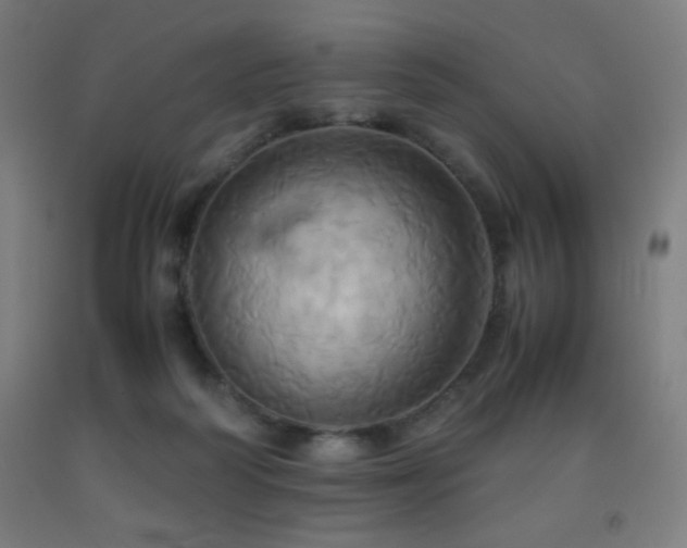 X0000093240218200709261715