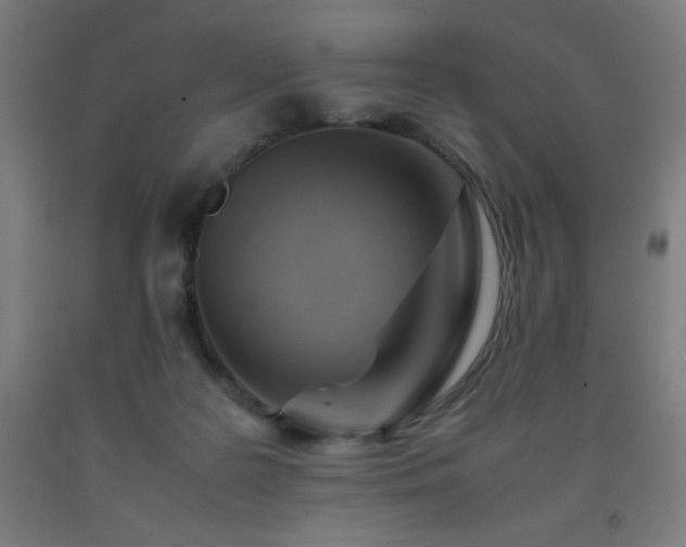 X0000093240219200709261715