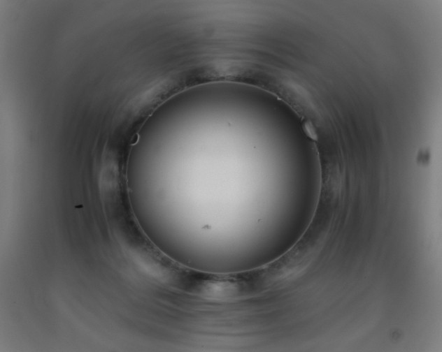 X0000093240220200709261715