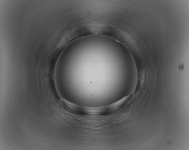 X0000093240221200709261715