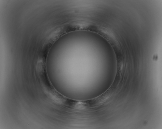X0000093240222200709261715