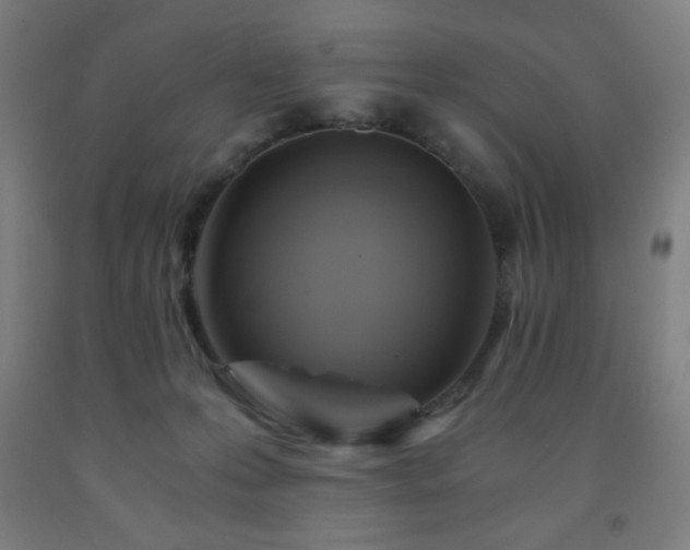 X0000093240223200709261715