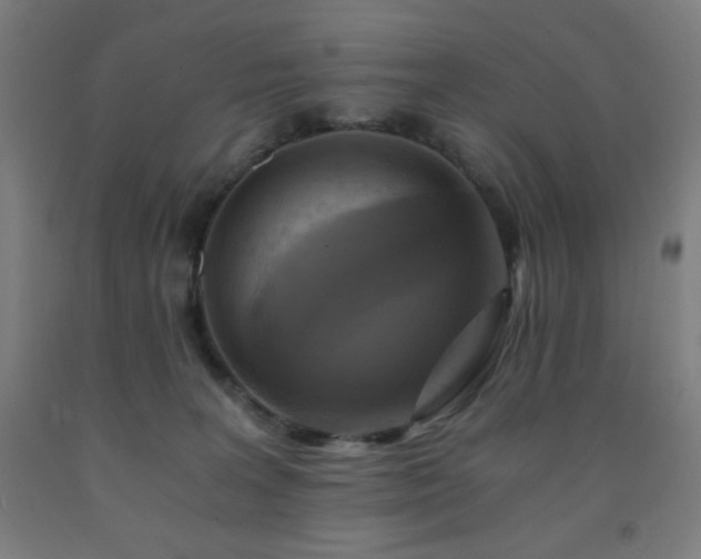 X0000093240227200709261715