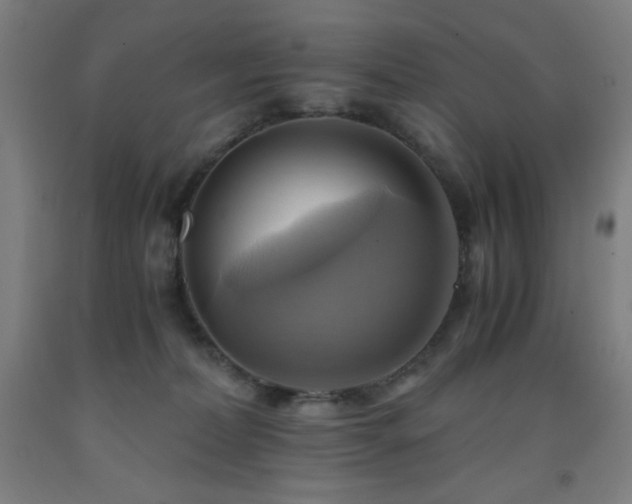 X0000093240228200709261715