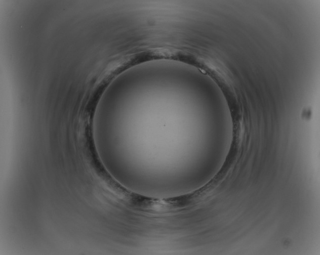 X0000093240229200709261715