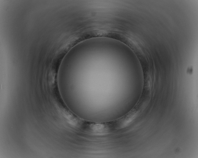 X0000093240230200709261715