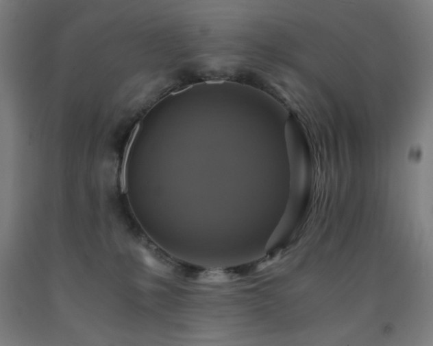 X0000093240231200709261715