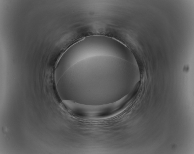 X0000093240233200709261715