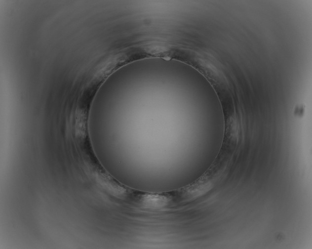 X0000093240234200709261715