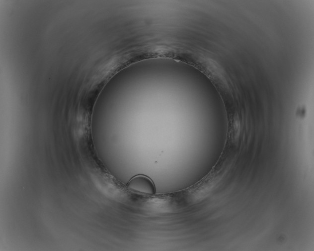 X0000093240236200709261715