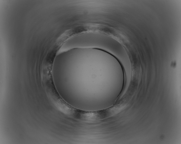 X0000093240237200709261715