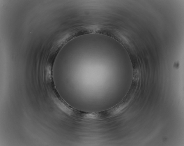 X0000093240238200709261715