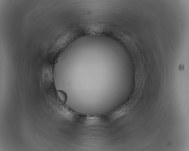 X0000093240240200709261715