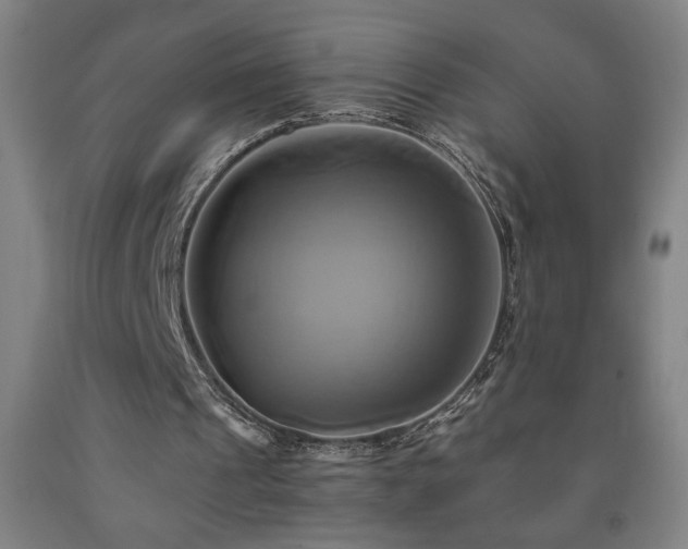 X0000093240241200709261714