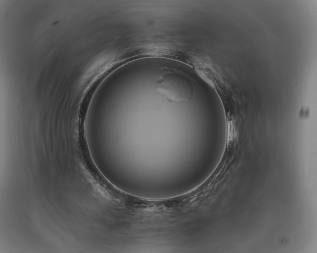 X0000093240243200709261714