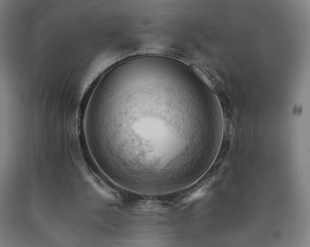 X0000093240244200709261714