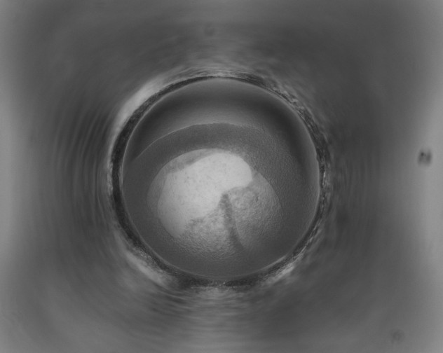 X0000093240246200709261714