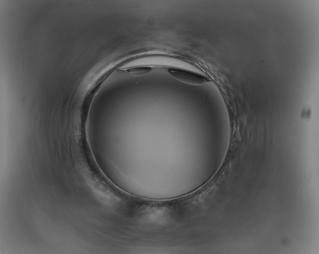 X0000093240247200709261714