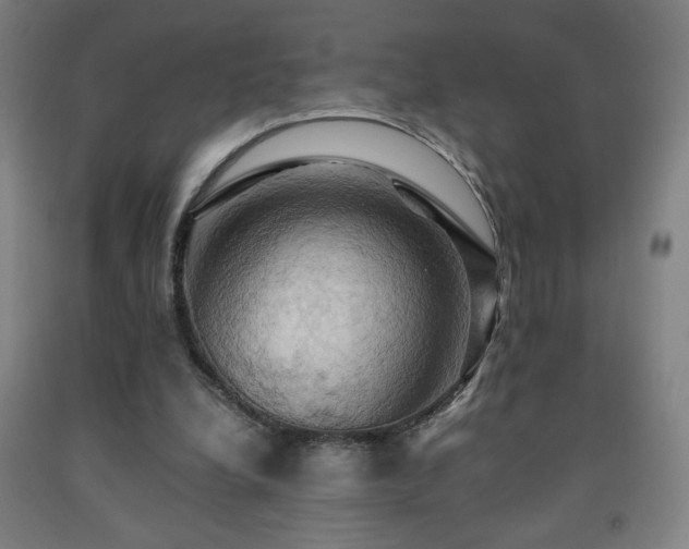 X0000093240248200709261714