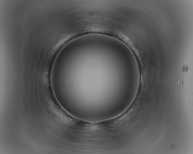 X0000093240249200709261714