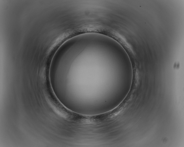 X0000093240250200709261714