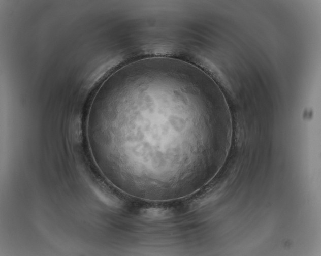 X0000093240251200709261714