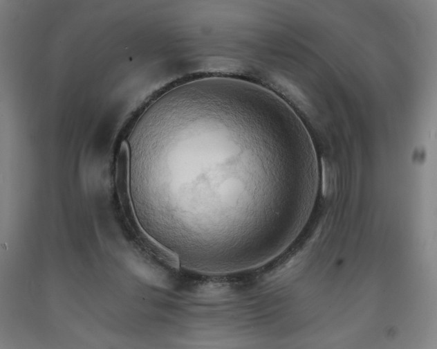 X0000093240252200709261714