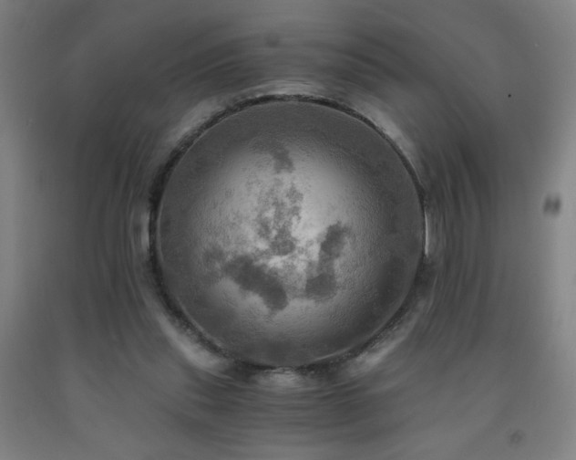 X0000093240253200709261714