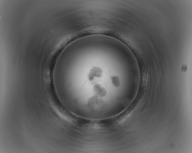 X0000093240254200709261714