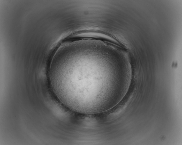 X0000093240256200709261714