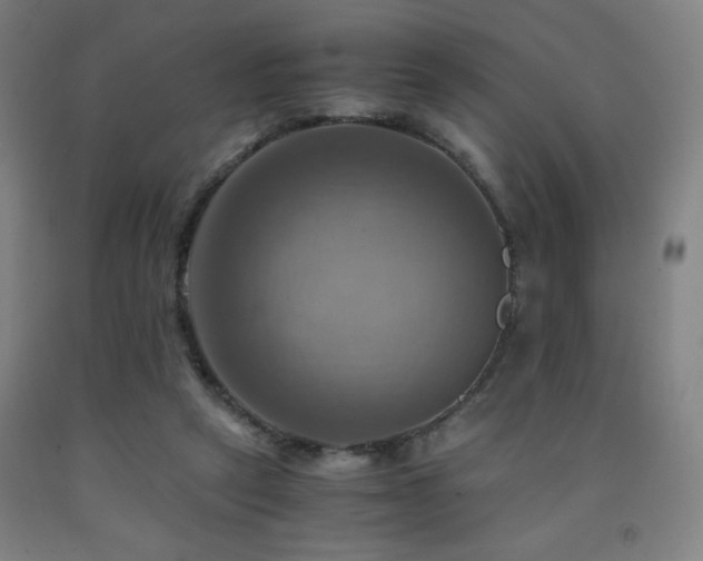 X0000093240257200709261714