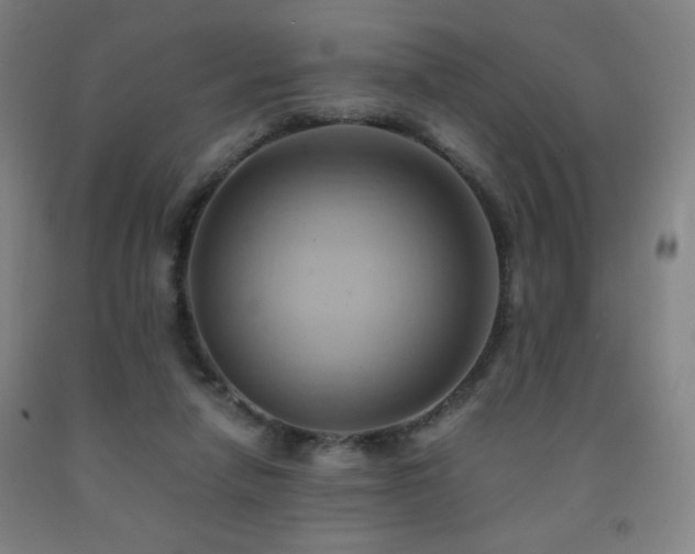 X0000093240258200709261714