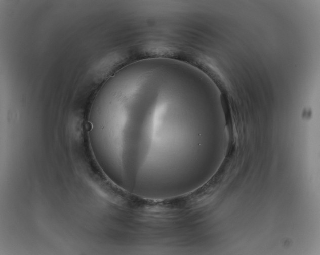 X0000093240259200709261714