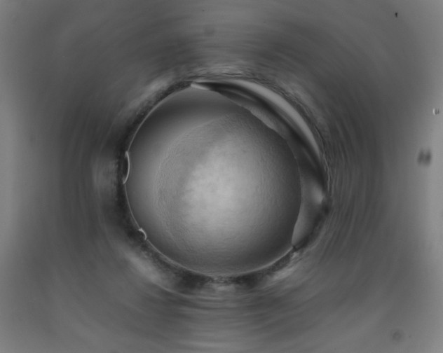 X0000093240260200709261714