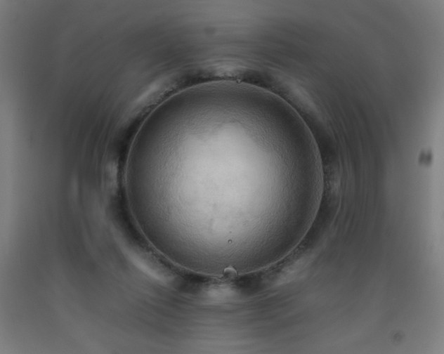 X0000093240262200709261714