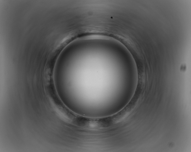 X0000093240264200709261714