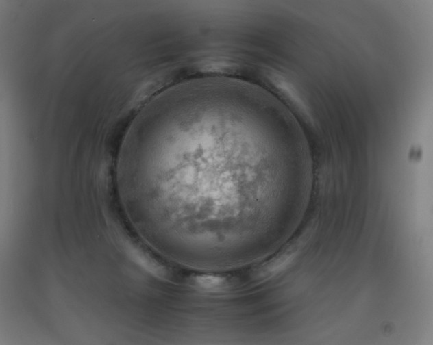 X0000093240265200709261714