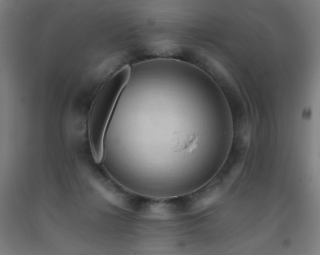 X0000093240268200709261714